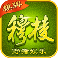 盐城晃晃子麻将