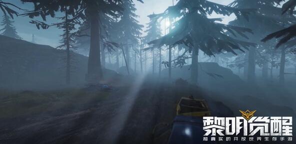 黎明觉醒 末路上的真实生存体验