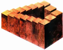 笼中窥梦 转换视角 实现 不可思议 笼中窥梦 转换视角 实现 不可思议