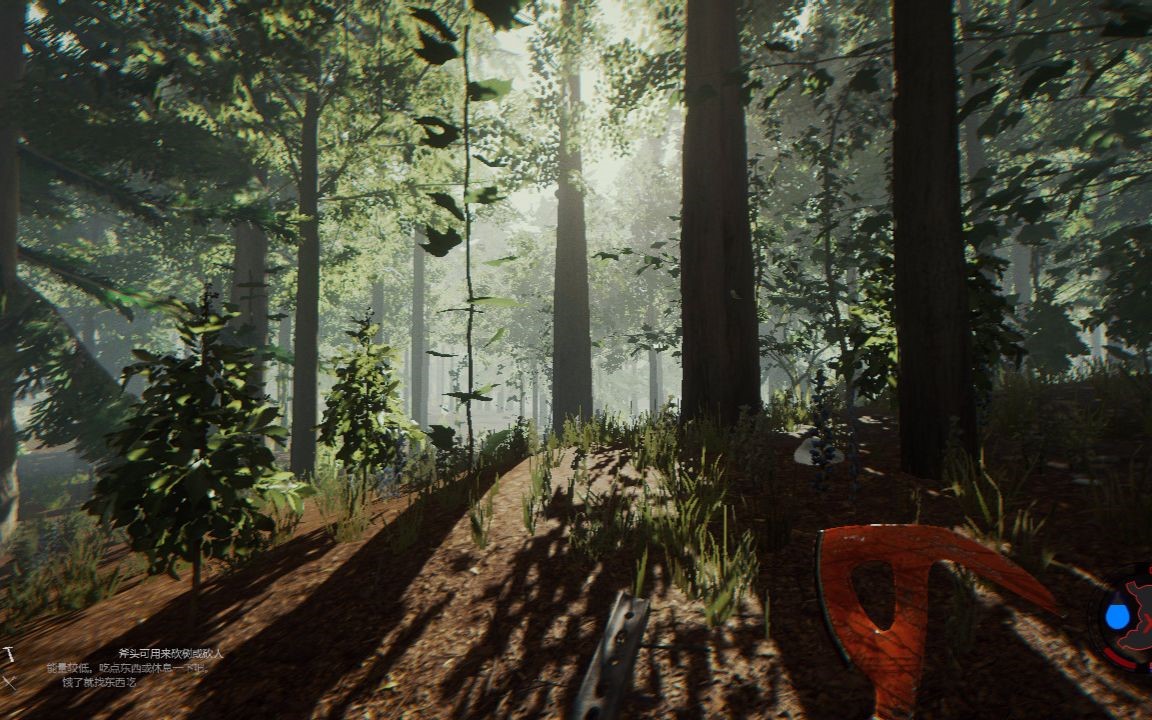 阴暗森林攻略,阴暗森林：挑战与攻略，生存秘籍揭秘