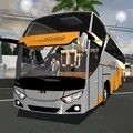 2021城市巴士