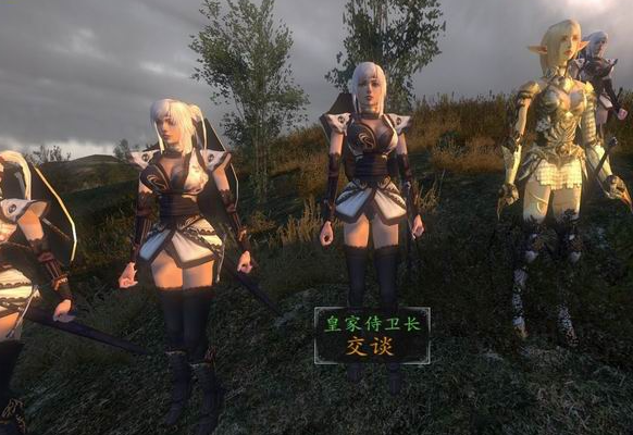 骑马与砍杀战团1 153：一款备受追捧的策略角色扮演游戏